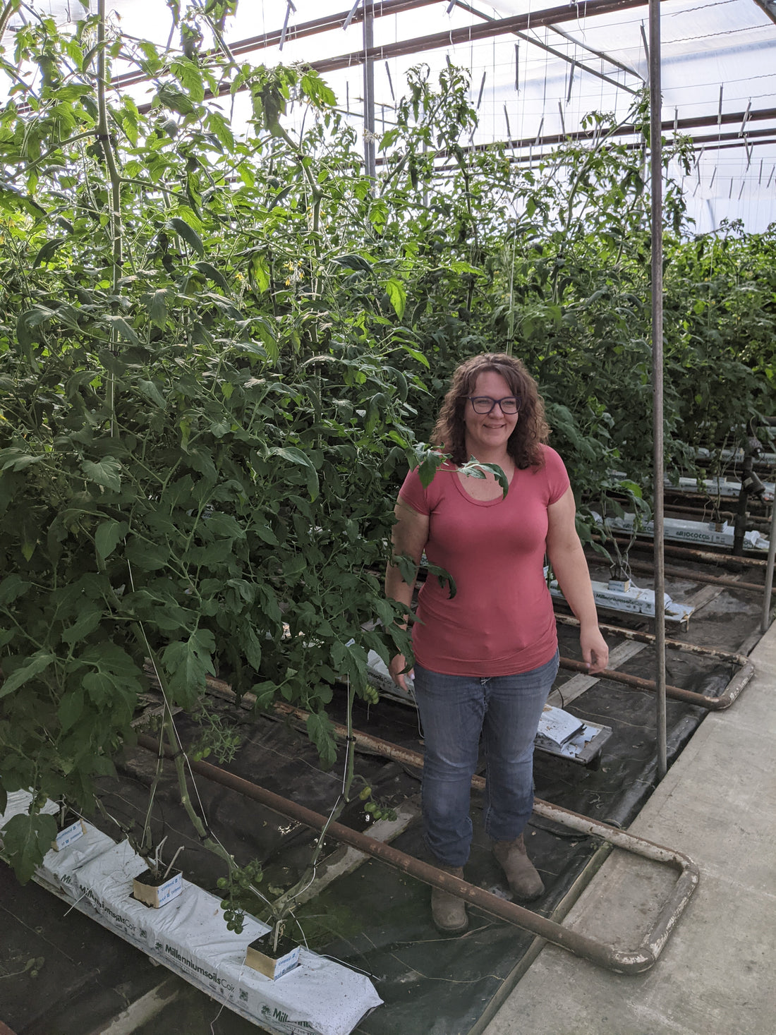 Meet Our Farmers: Shirley’s Greenhouse