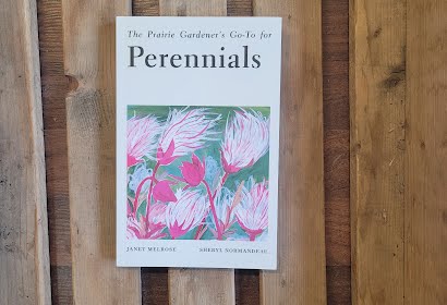 The Prairie Gardener's Go-To for Perenials