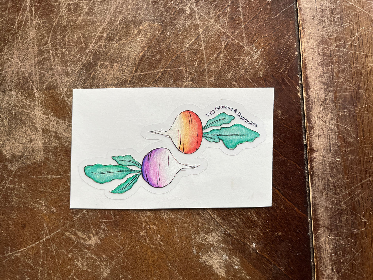 Celebrate Pride- Stickers and Post cards