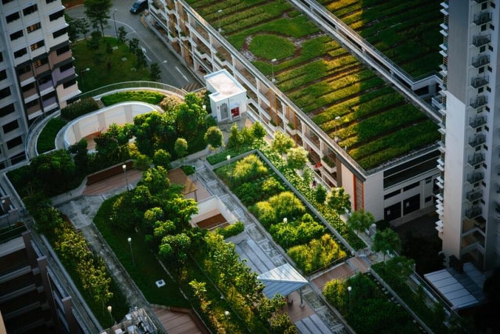 Energy-Efficient Roofing Materials