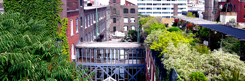 Toronto’s Green Standard