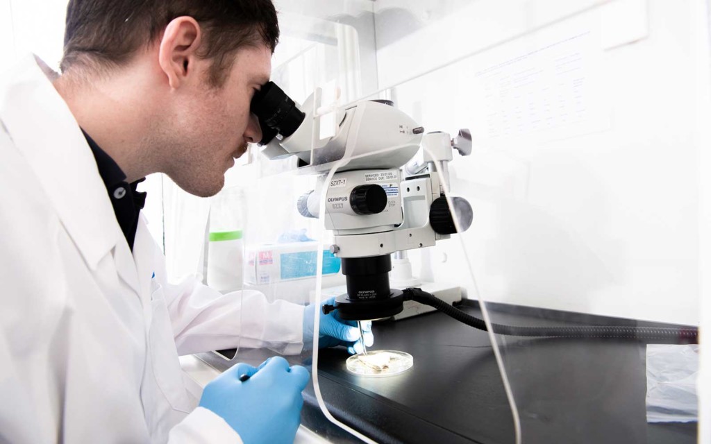 Conduct a Hazardous Materials Survey