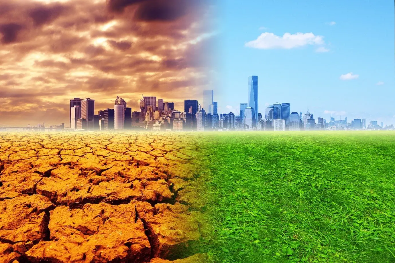 Impact of Climate Change