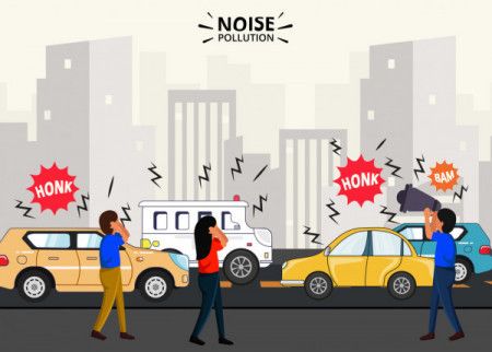 Noise Pollution and Environmental Impact 