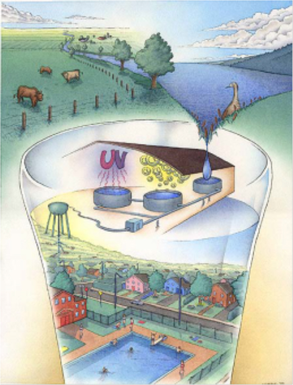 Provincial and Territorial Water Conservation Regulations